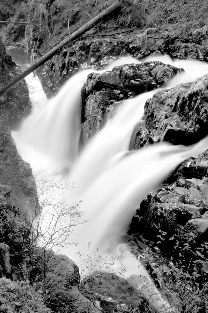 Sol Duc Falls I BW art print by Douglas Taylor for $57.95 CAD