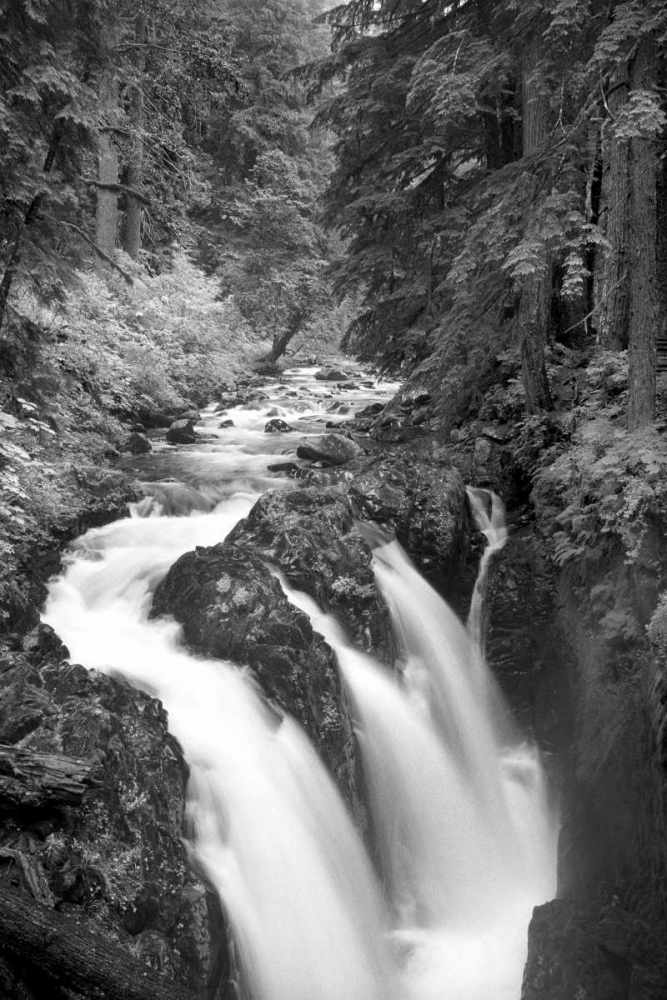 Sol Duc River Falls BW art print by Douglas Taylor for $57.95 CAD