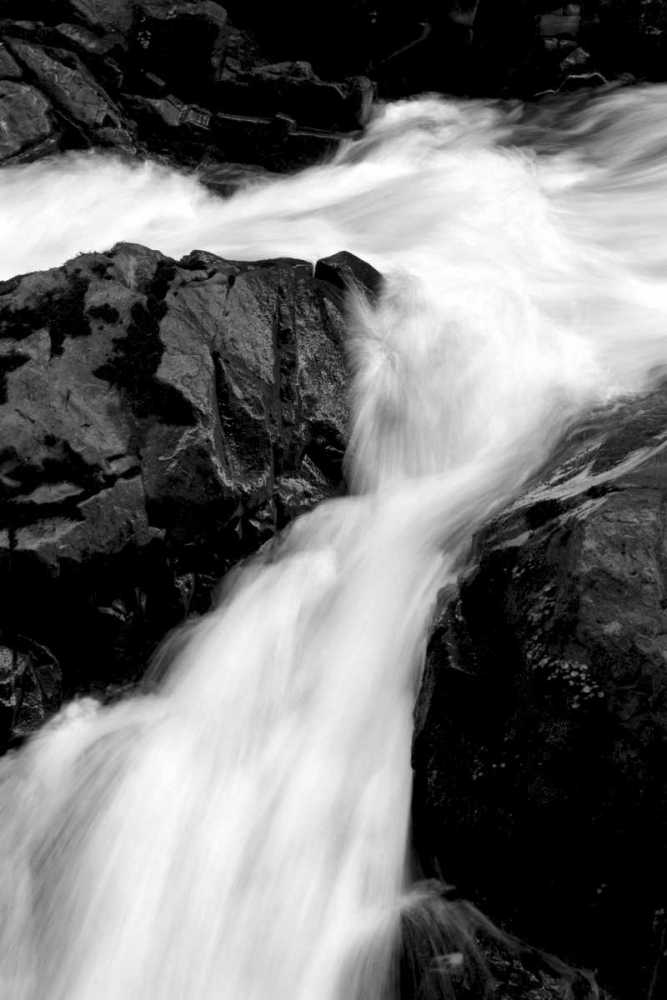 Sol Duc River II BW art print by Douglas Taylor for $57.95 CAD