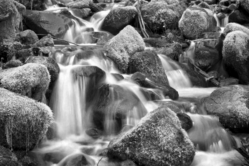 Trailside Stream BW art print by Douglas Taylor for $57.95 CAD