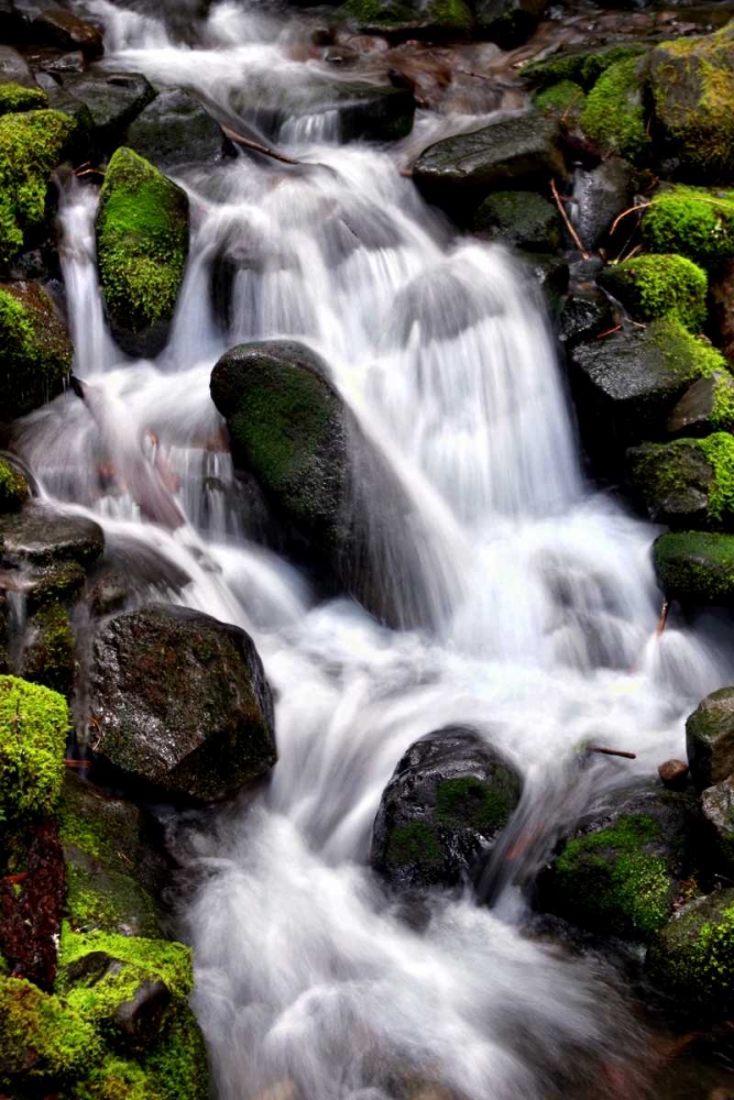 Trailside Waterfall I art print by Douglas Taylor for $57.95 CAD