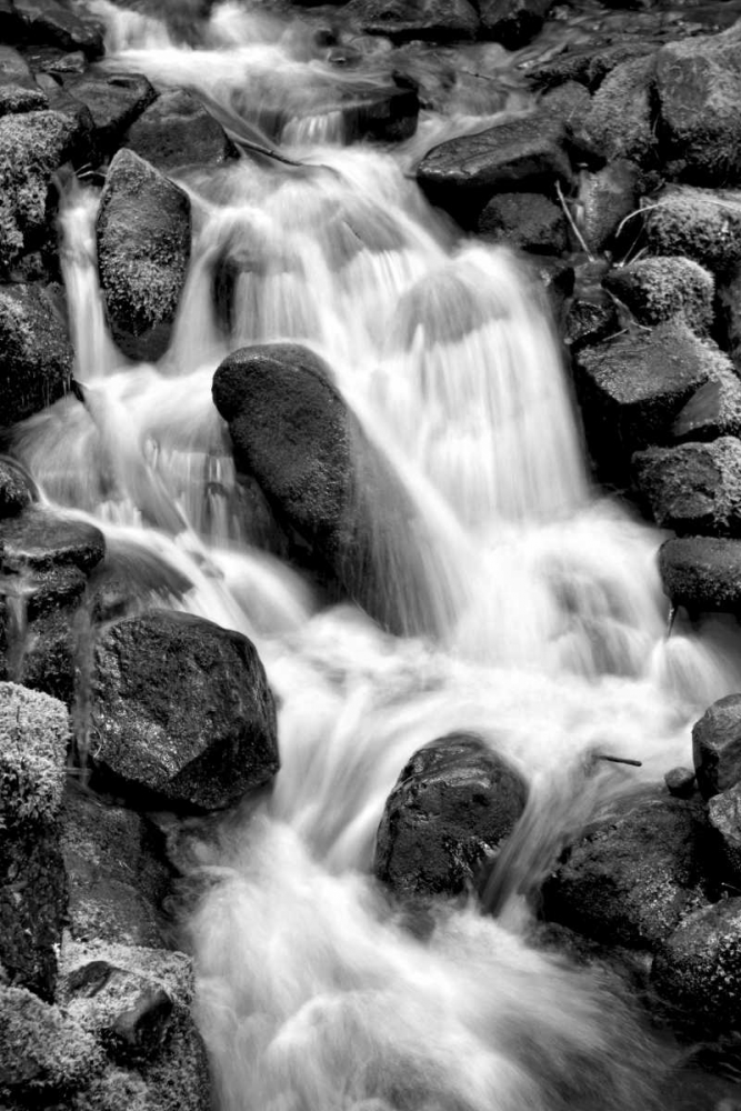 Trailside Waterfall I BW art print by Douglas Taylor for $57.95 CAD