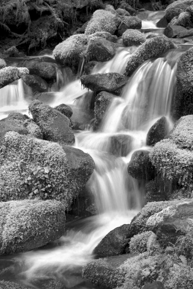 Trailside Waterfall II BW art print by Douglas Taylor for $57.95 CAD