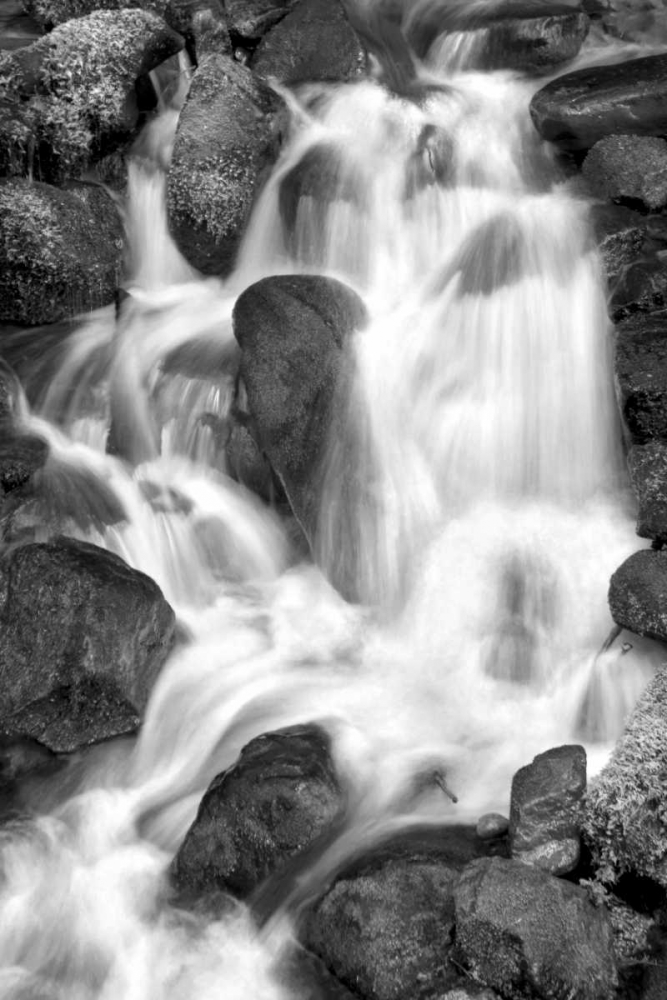 Trailside Waterfall IV BW art print by Douglas Taylor for $57.95 CAD