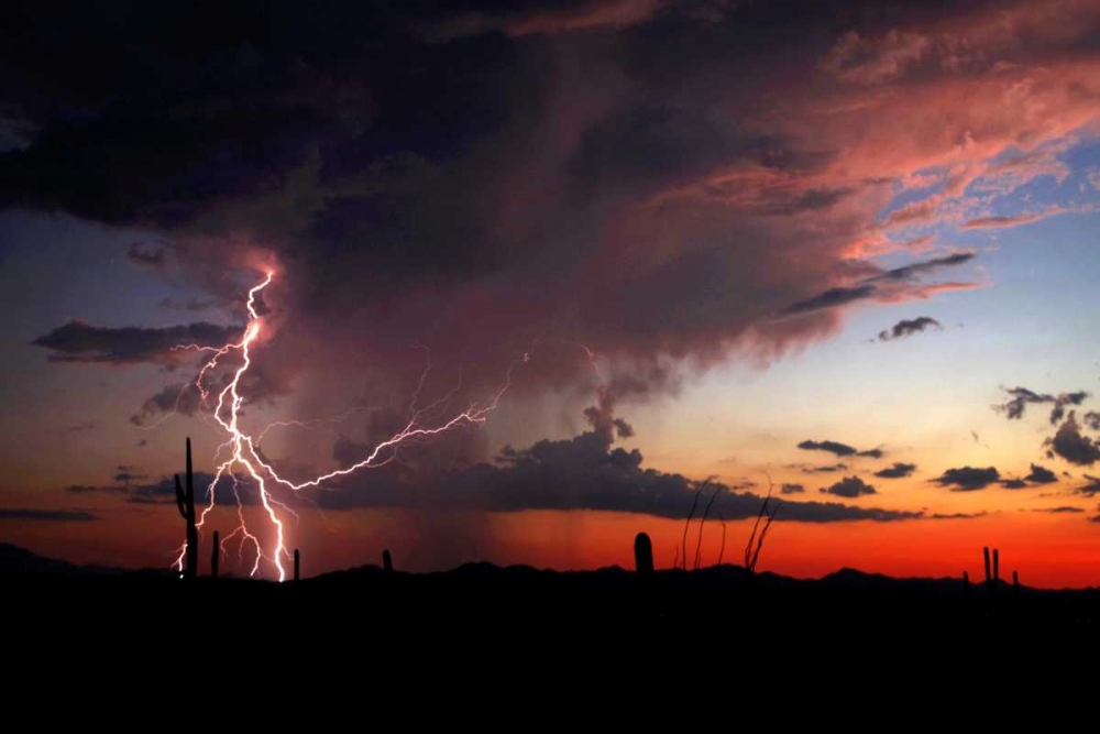 Twilight Lightning I art print by Douglas Taylor for $57.95 CAD