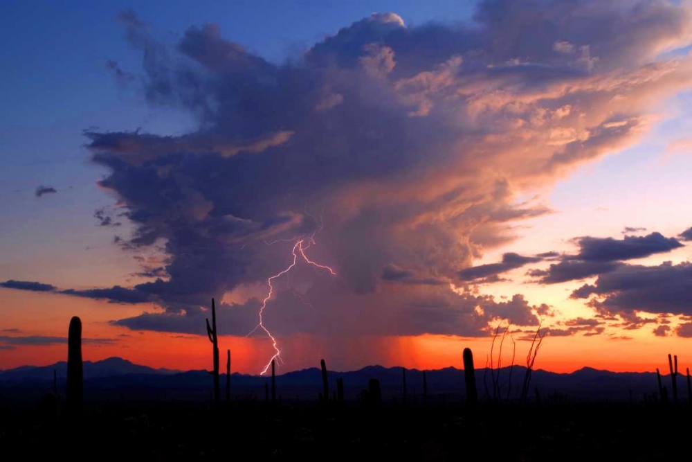 Twilight Lightning II art print by Douglas Taylor for $57.95 CAD