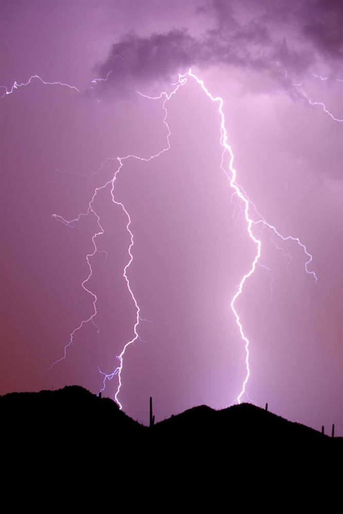 Summer Lightning art print by Douglas Taylor for $57.95 CAD
