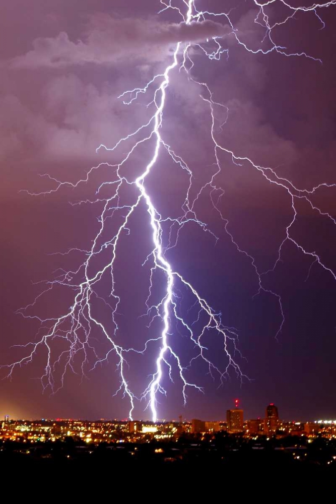Lightning Portrait art print by Douglas Taylor for $57.95 CAD