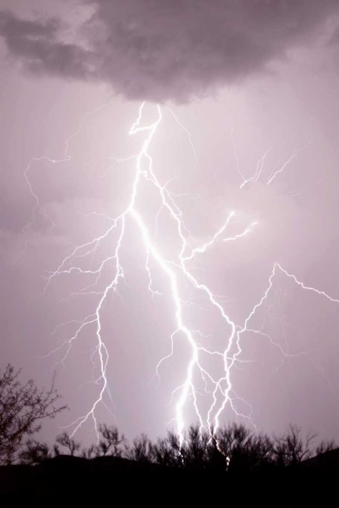 Dancing Lightning art print by Douglas Taylor for $57.95 CAD