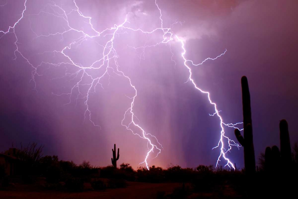 Electrifying art print by Douglas Taylor for $57.95 CAD