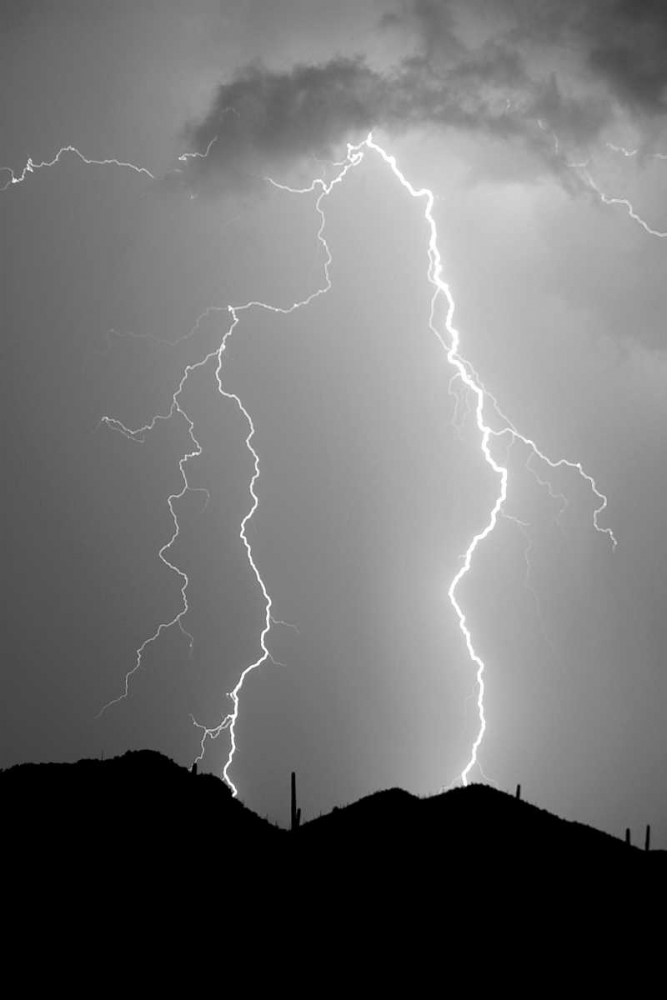 Summer Lightning BW art print by Douglas Taylor for $57.95 CAD