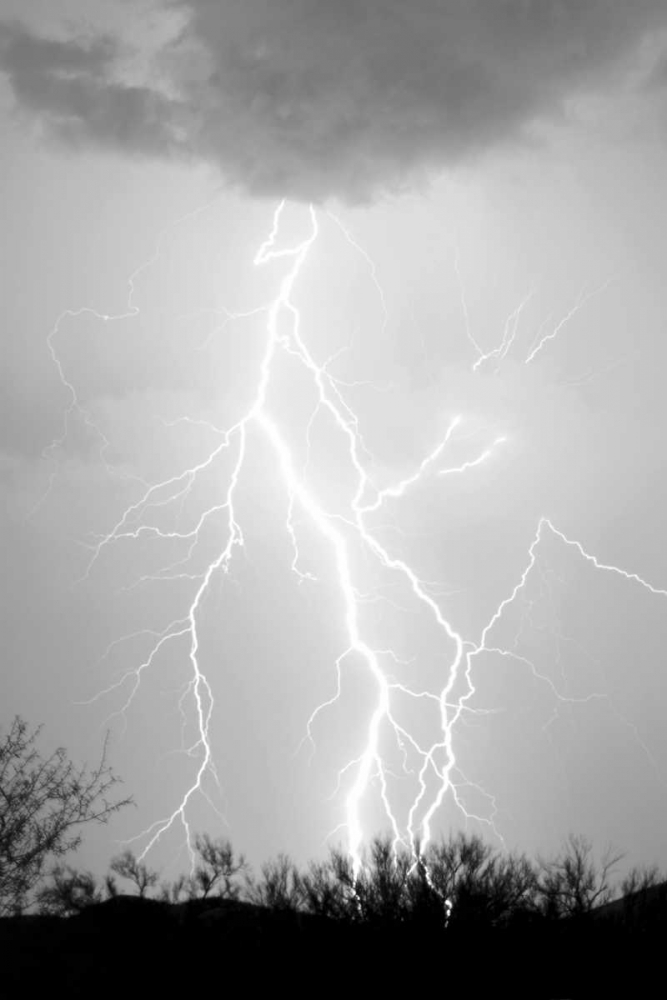 Dancing Lightning BW art print by Douglas Taylor for $57.95 CAD