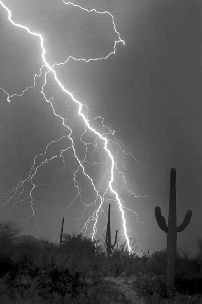 Fire and Rain BW art print by Douglas Taylor for $57.95 CAD