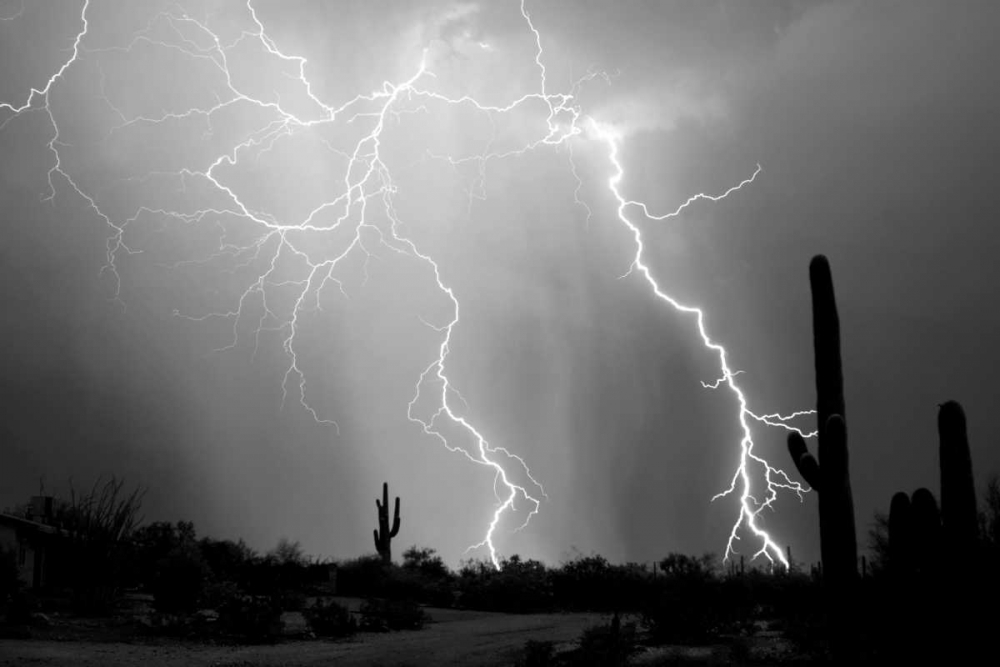 Electrifying BW art print by Douglas Taylor for $57.95 CAD