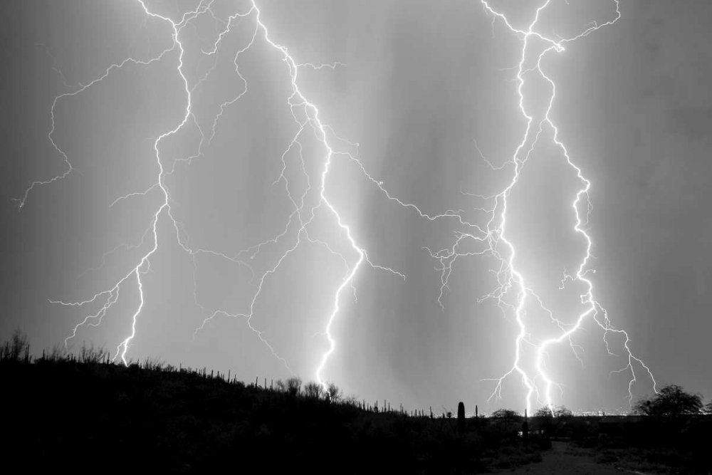 High Voltage BW art print by Douglas Taylor for $57.95 CAD