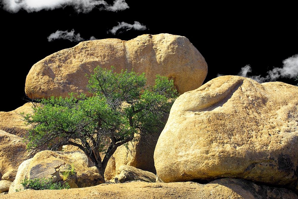 Texas Canyon Rox and Rolls art print by Douglas Taylor for $57.95 CAD