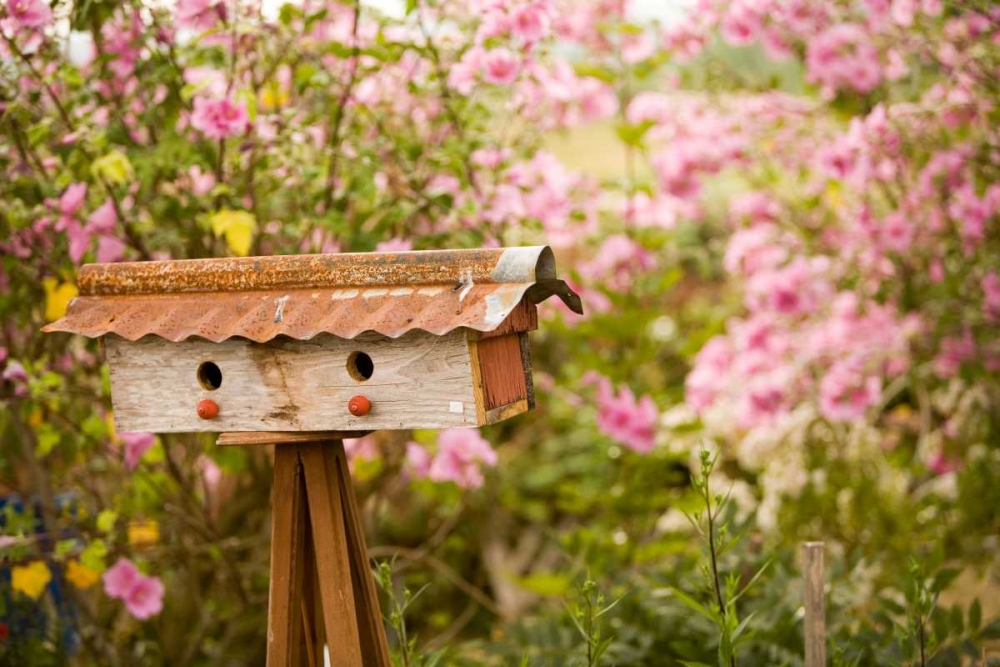 Bird House I art print by Philip Clayton-Thompson for $57.95 CAD