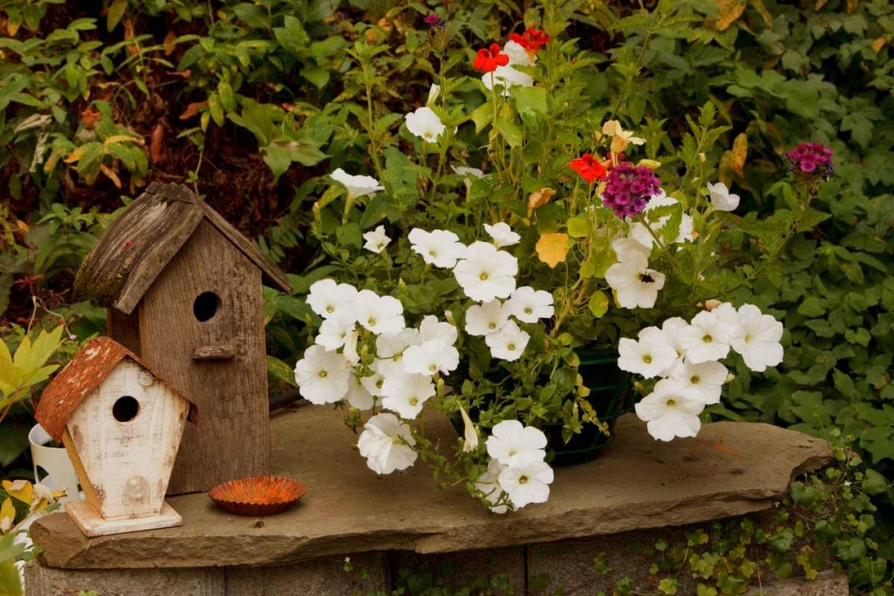 Bird House II art print by Philip Clayton-Thompson for $57.95 CAD