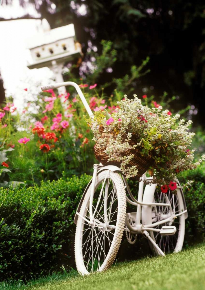Vintage Bicycle I art print by Philip Clayton-Thompson for $57.95 CAD