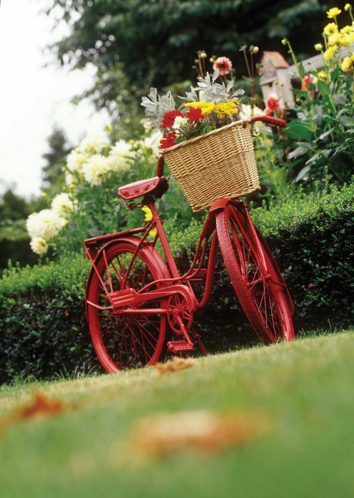 Vintage Bicycle II art print by Philip Clayton-Thompson for $57.95 CAD
