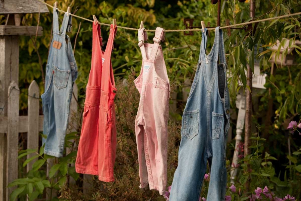 Out to Dry II art print by Philip Clayton-Thompson for $57.95 CAD