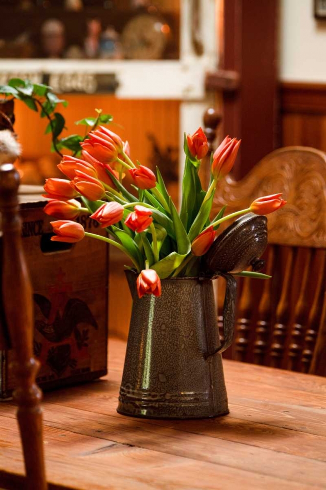 Fresh Tulips II art print by Philip Clayton-Thompson for $57.95 CAD