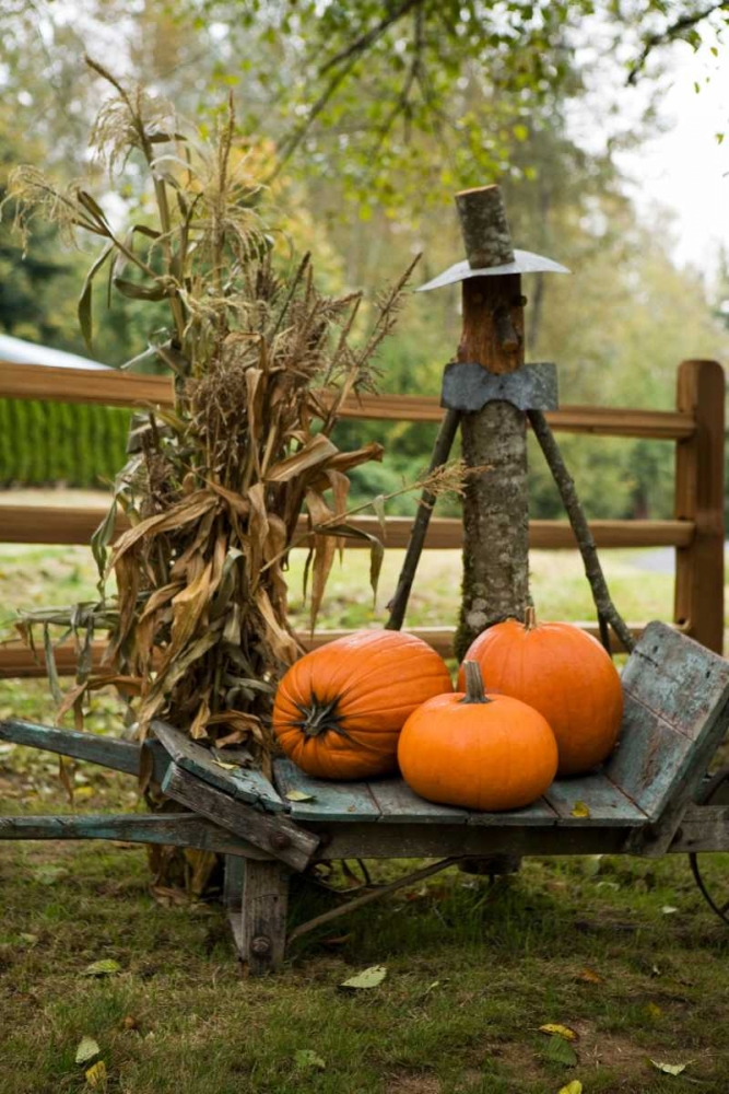 Autumn Harvest II art print by Philip Clayton-Thompson for $57.95 CAD