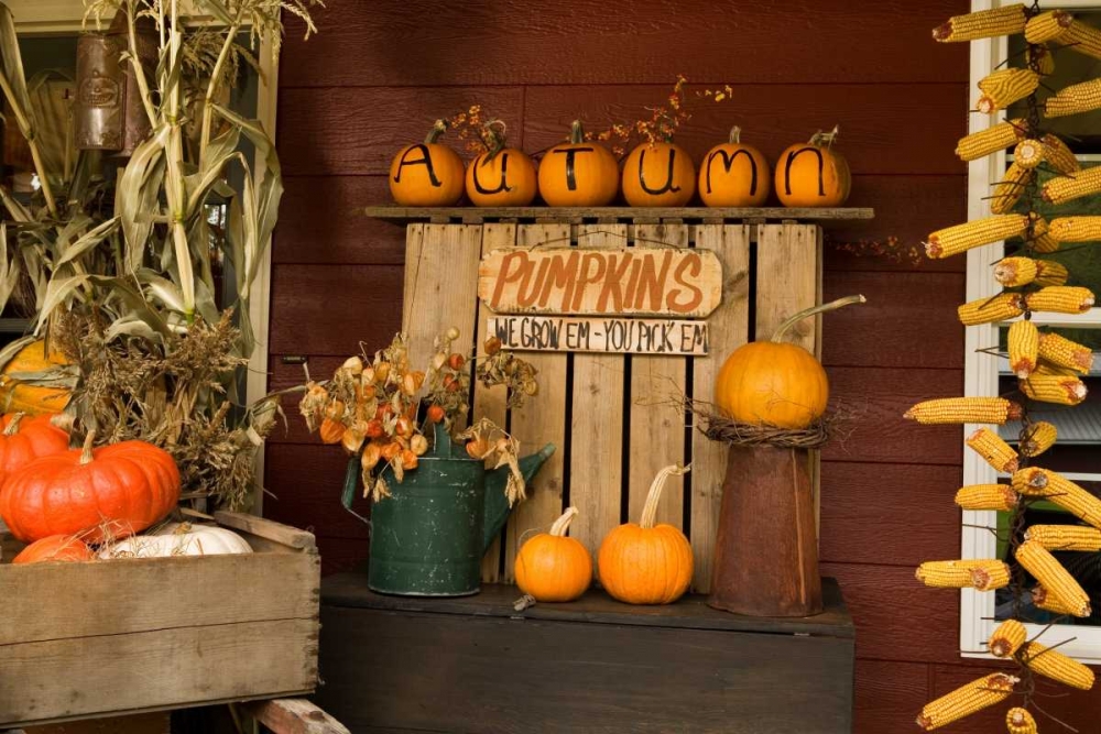 Autumn Harvest III art print by Philip Clayton-Thompson for $57.95 CAD