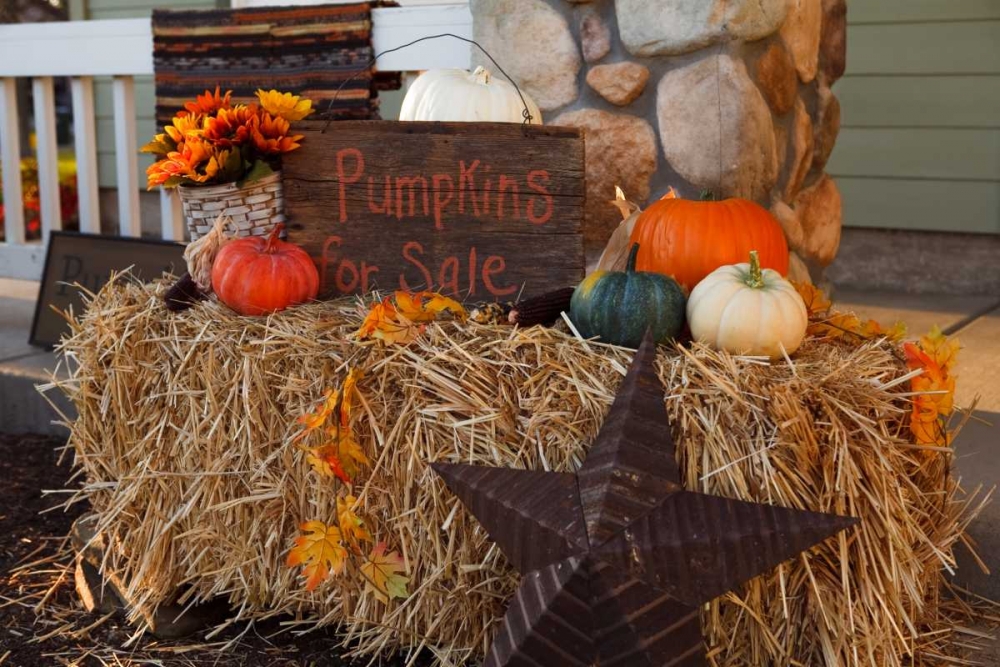 Autumn Harvest IV art print by Philip Clayton-Thompson for $57.95 CAD