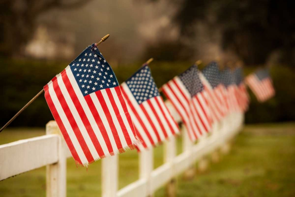 Flags I art print by Philip Clayton-Thompson for $57.95 CAD
