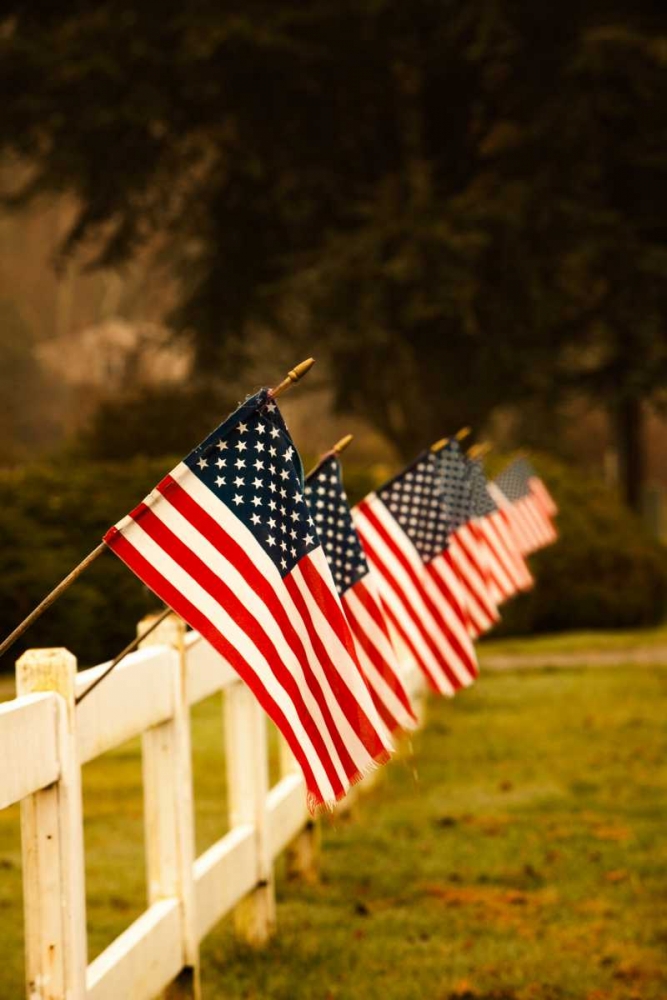 Flags II art print by Philip Clayton-Thompson for $57.95 CAD