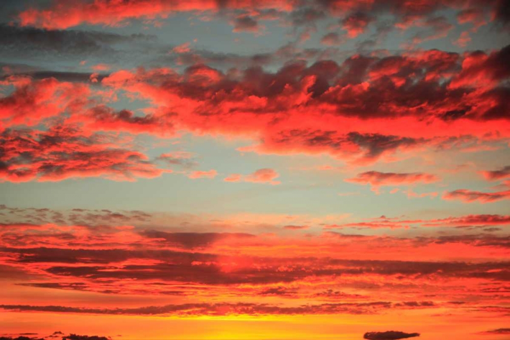 Colorful Sunset I art print by Philip Clayton-Thompson for $57.95 CAD