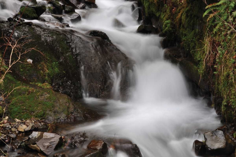 Stream Falls III art print by Logan Thomas for $57.95 CAD