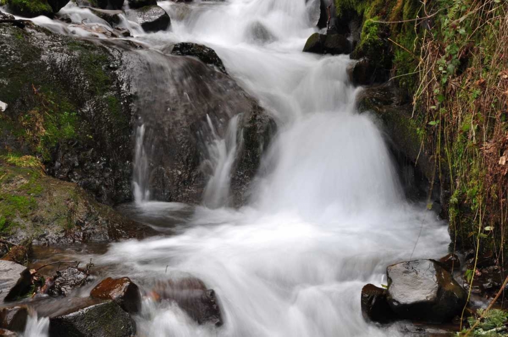Stream Falls IV art print by Logan Thomas for $57.95 CAD