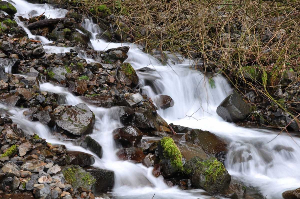 Stream Falls V art print by Logan Thomas for $57.95 CAD