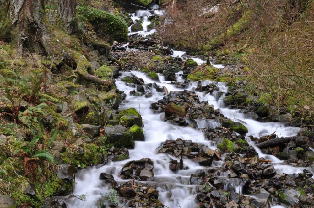 Stream Falls VI art print by Logan Thomas for $57.95 CAD