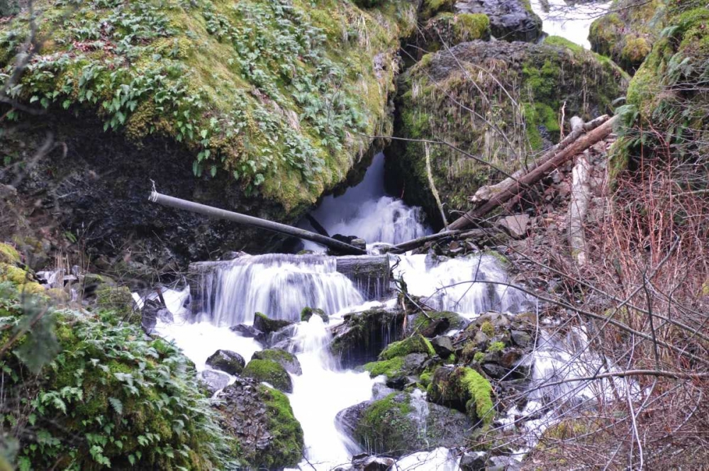 Stream Falls VIII art print by Logan Thomas for $57.95 CAD