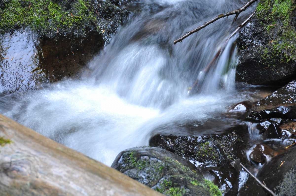 Waterfall I art print by Logan Thomas for $57.95 CAD