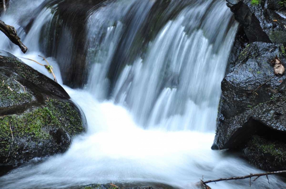 Waterfall II art print by Logan Thomas for $57.95 CAD