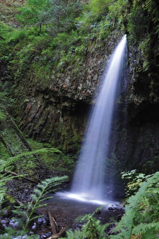 Serene Waterfall art print by Logan Thomas for $57.95 CAD