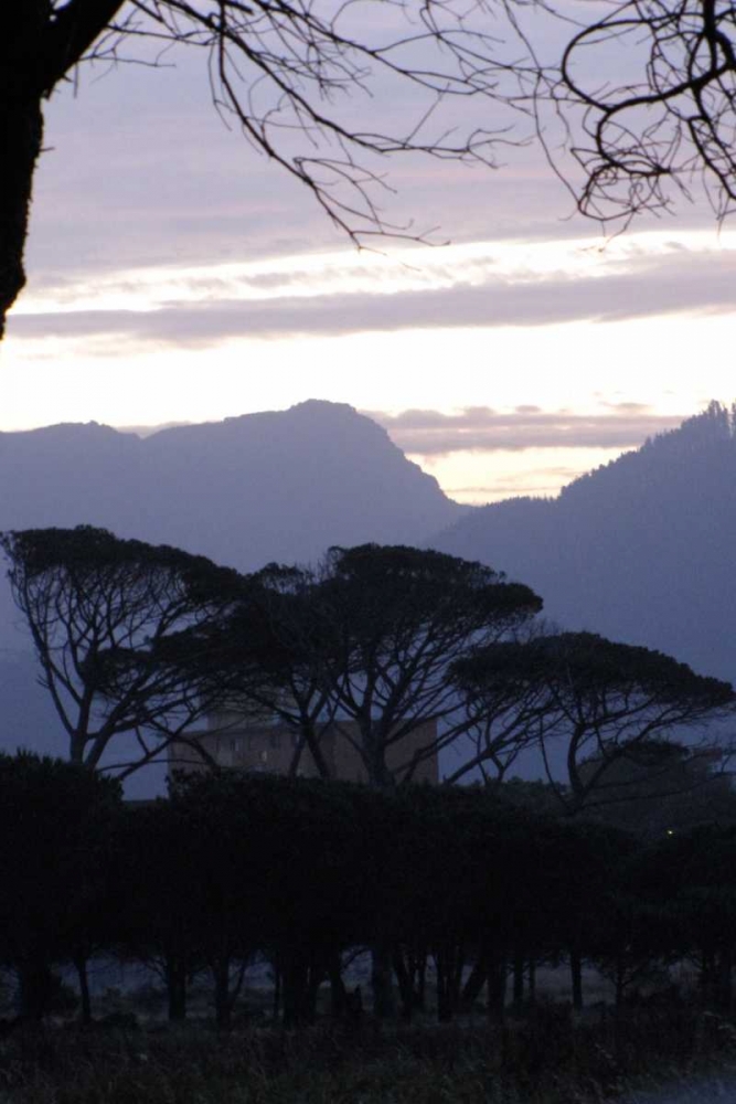 Trees in Landscape II art print by Dana Underdahl for $57.95 CAD