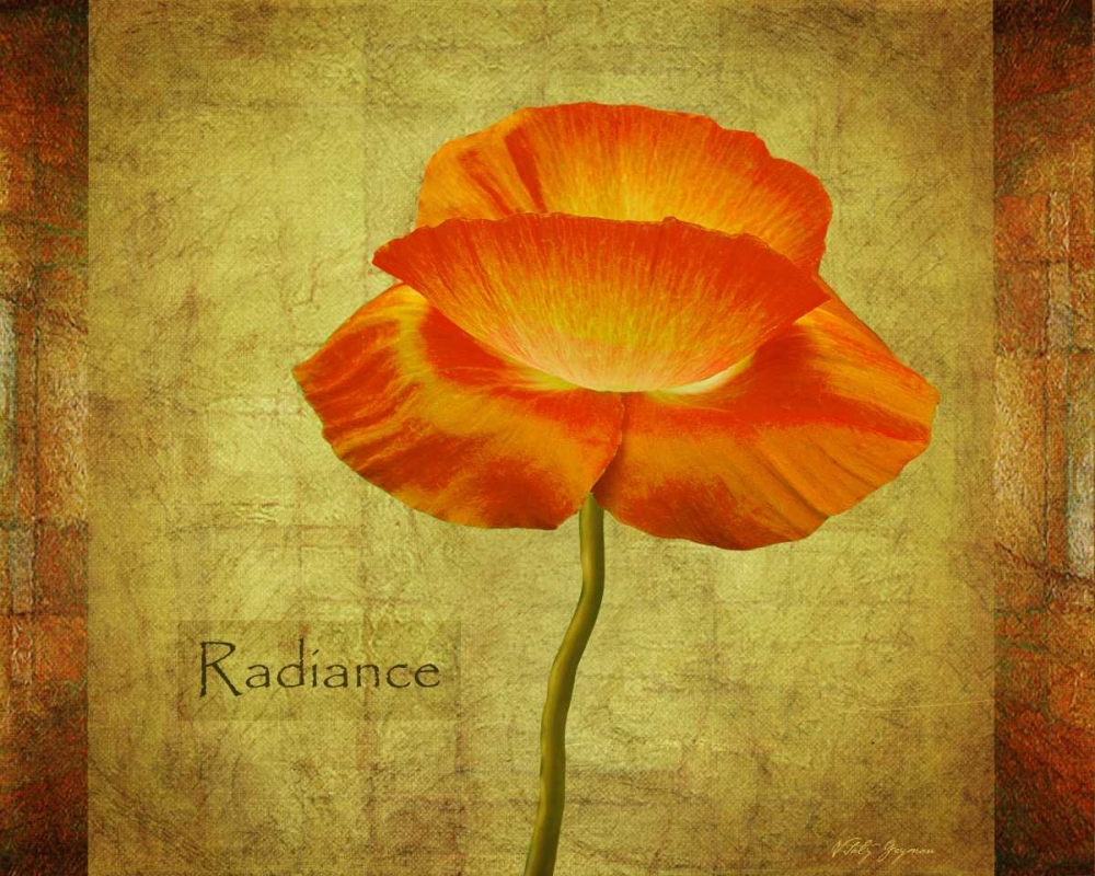 Dancing Poppy Radiance art print by Vitaly Geyman for $57.95 CAD