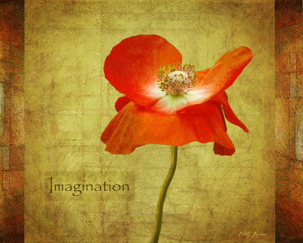 Velvet Poppy Imagination art print by Vitaly Geyman for $57.95 CAD