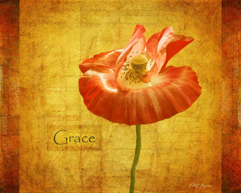 Velvet Poppy Grace art print by Vitaly Geyman for $57.95 CAD