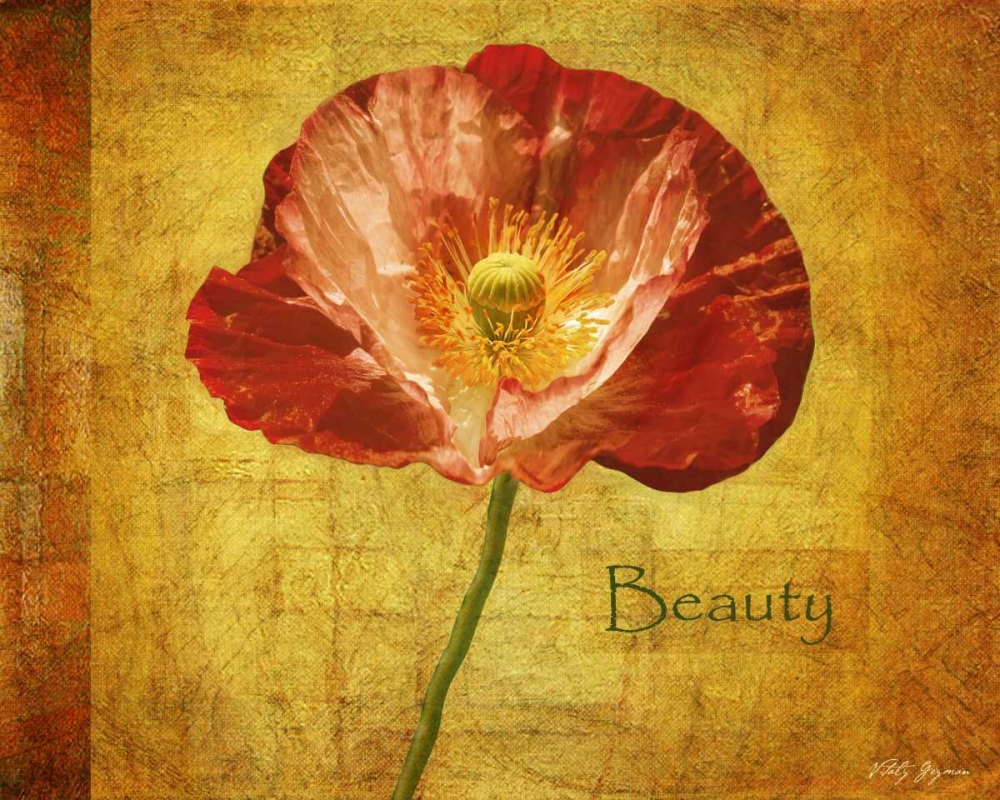 Royal Poppy Beauty art print by Vitaly Geyman for $57.95 CAD