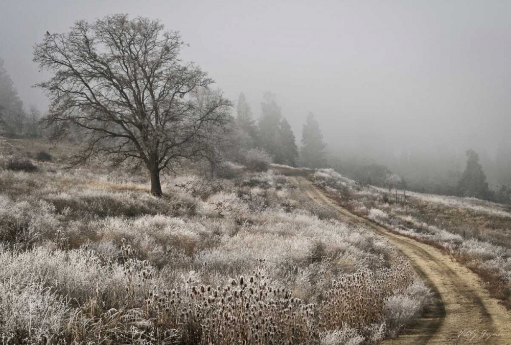 Winter Serenity art print by Vitaly Geyman for $57.95 CAD