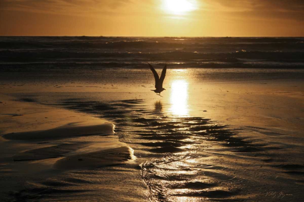Sunset Bird art print by Vitaly Geyman for $57.95 CAD