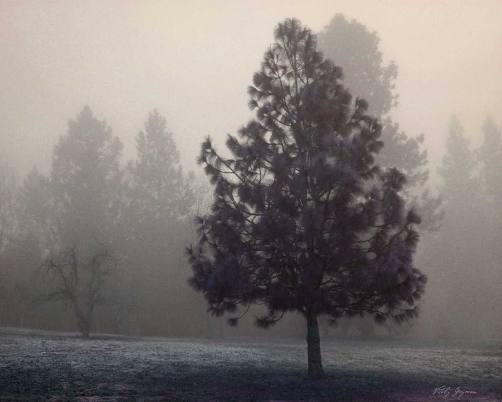 Silent Night art print by Vitaly Geyman for $57.95 CAD