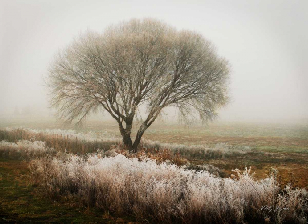 Tranquility I art print by Vitaly Geyman for $57.95 CAD