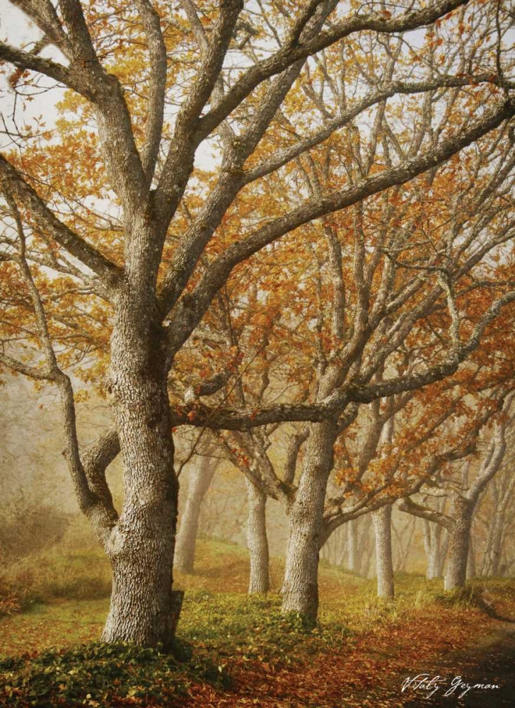 In the Mist I art print by Vitaly Geyman for $57.95 CAD